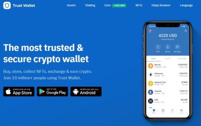 Comment Activer le Navigateur DApp sur Trust Wallet?