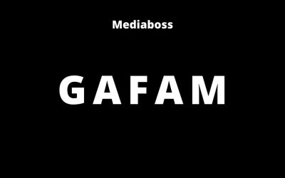 К какой GAFAM относятся эти социальные сети?