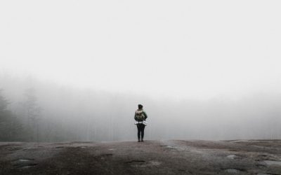 Que signifie « Utilisateur introuvable » sur Instagram?